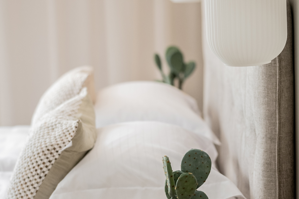 Zefyros Apartment tsilivi zakynthos